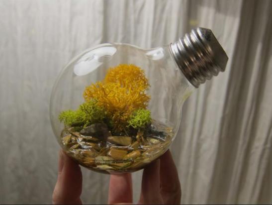 Bulb planter2