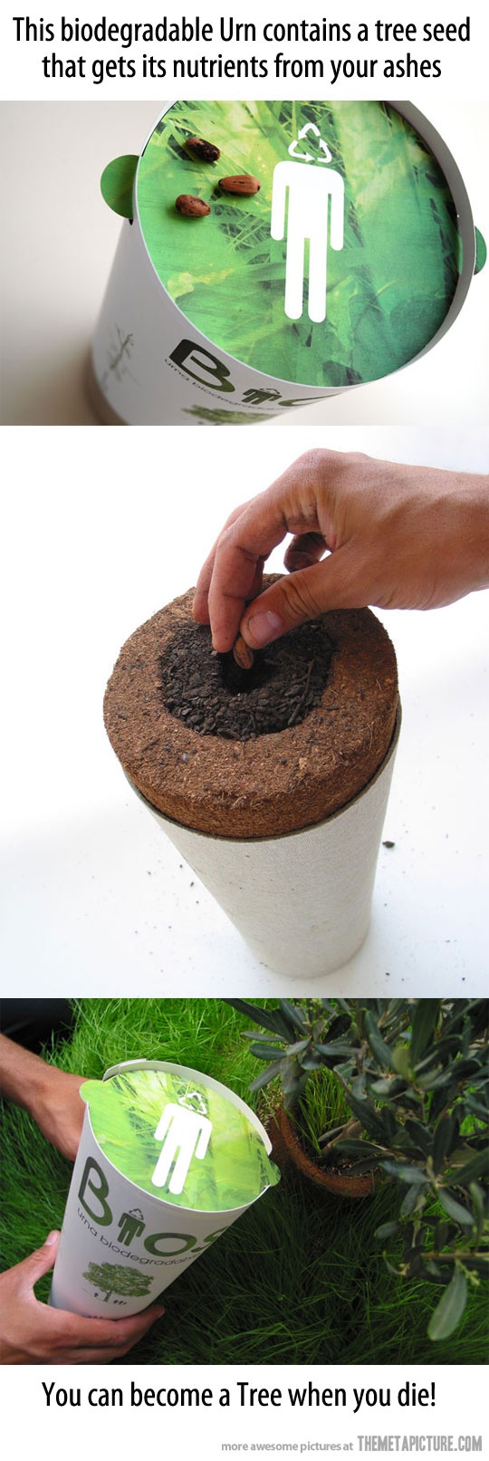 104638391314306414_Gj1NZ1HT_c