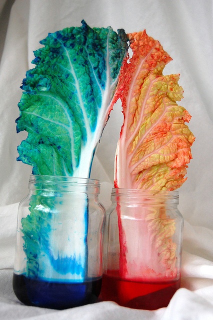 34a445380c3d152491c1960b3fa5d8ae