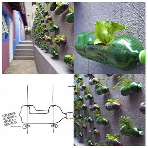 garden-ideas-wall