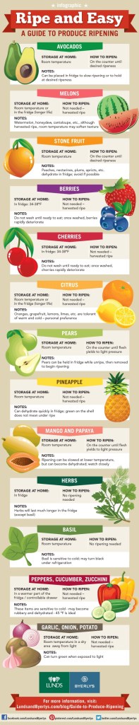 Produce Ripen Chart Produce Ripening Chart – Do It And How