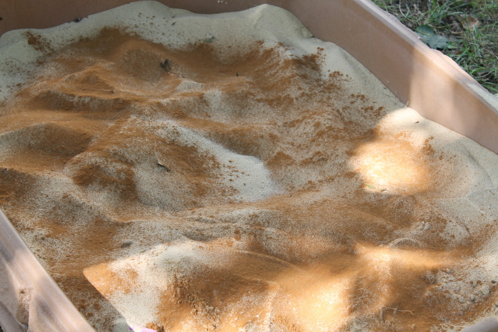 Blog_2012_05_08_1354