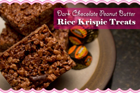 FXYCE9QHHS9SKCE.LARGE