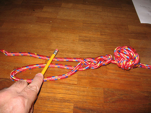braided dog toy