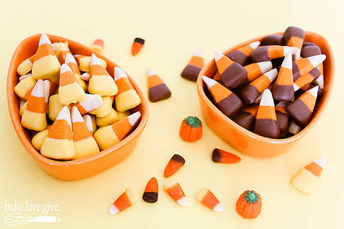 10314443554_dd6aed50e1