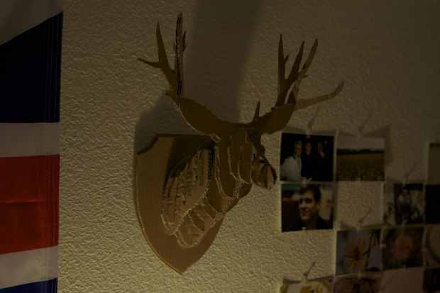 FAFAZ3YGYKQ5O8K.MEDIUM