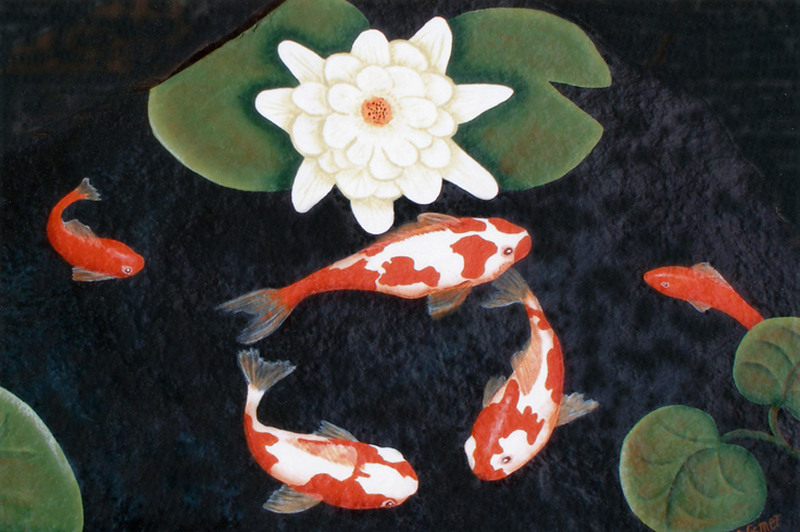 Koi Pond   Colour Photo 2