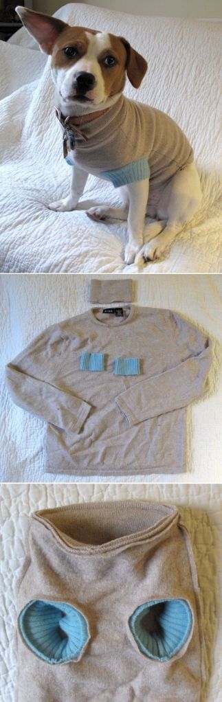 ded20f8deb64a66436276091775eb485