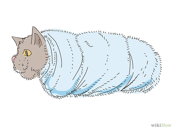 670px-Give-a-Cat-a-Pill-Step-11