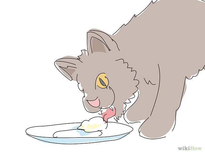 670px-Give-a-Cat-a-Pill-Step-7