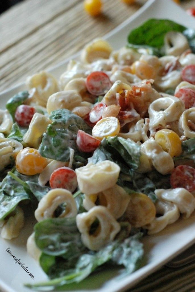 6bb3bae432c1760833d53ba34d91c54d