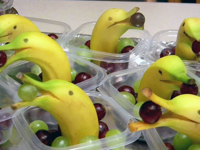 banana-dolphins