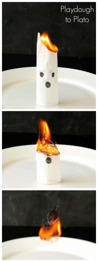 Cool-Kids-Science.-Make-Tea-Bag-Ghosts.-383x1024