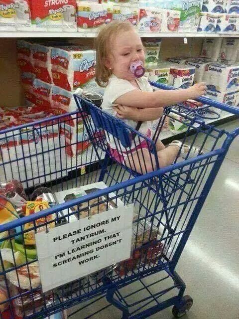 IMG_1317301305016641