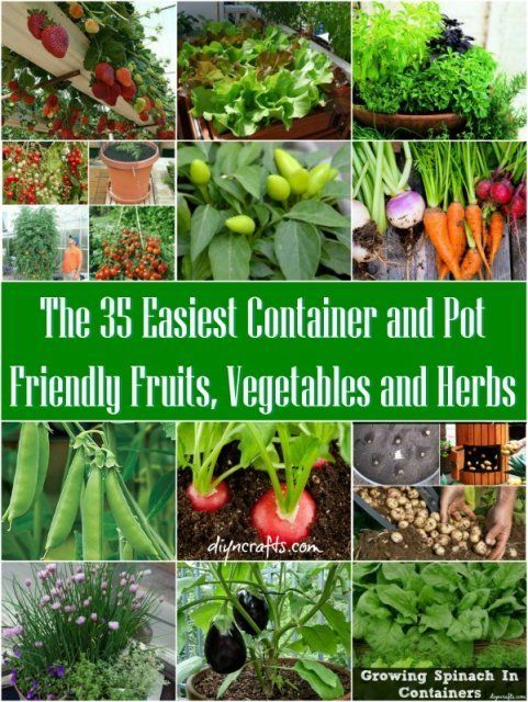 b424bf764a4dee17916884accb40e6a1