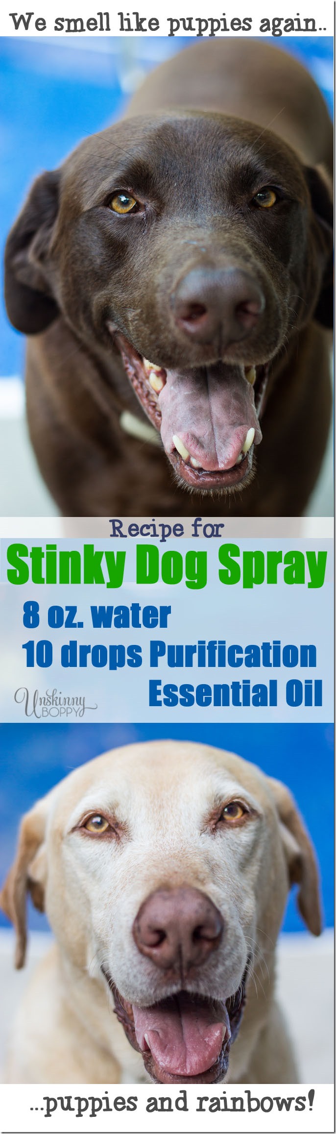 Recipe-for-Stinky-Dog-Spray_thumb