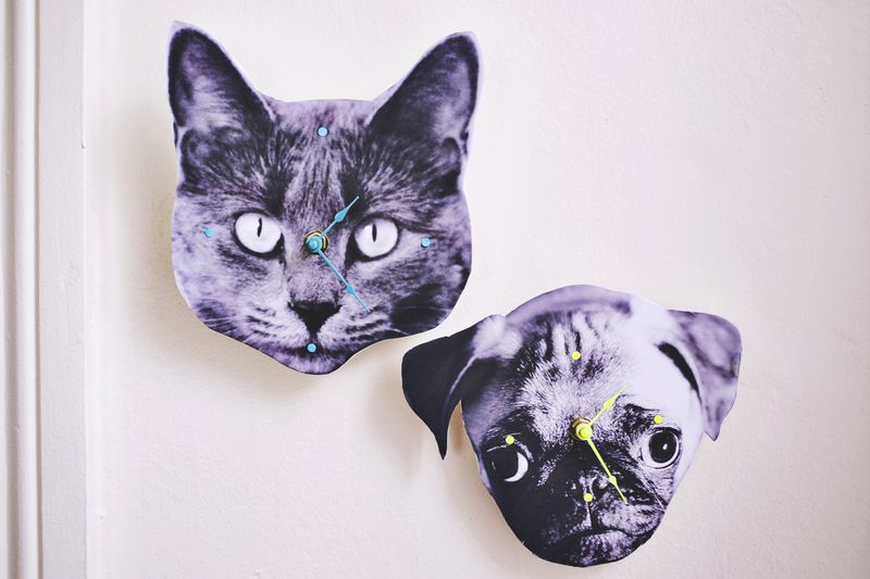 6a00d8358081ff69e201901ec659c6970b-800wi