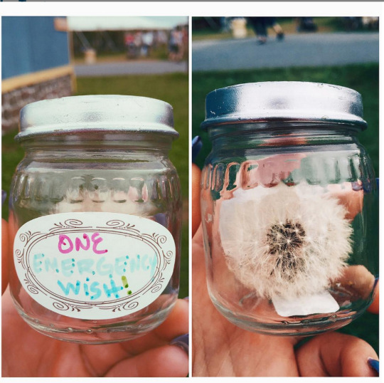 tumblr_nr19ixx8O71six3eqo1_540