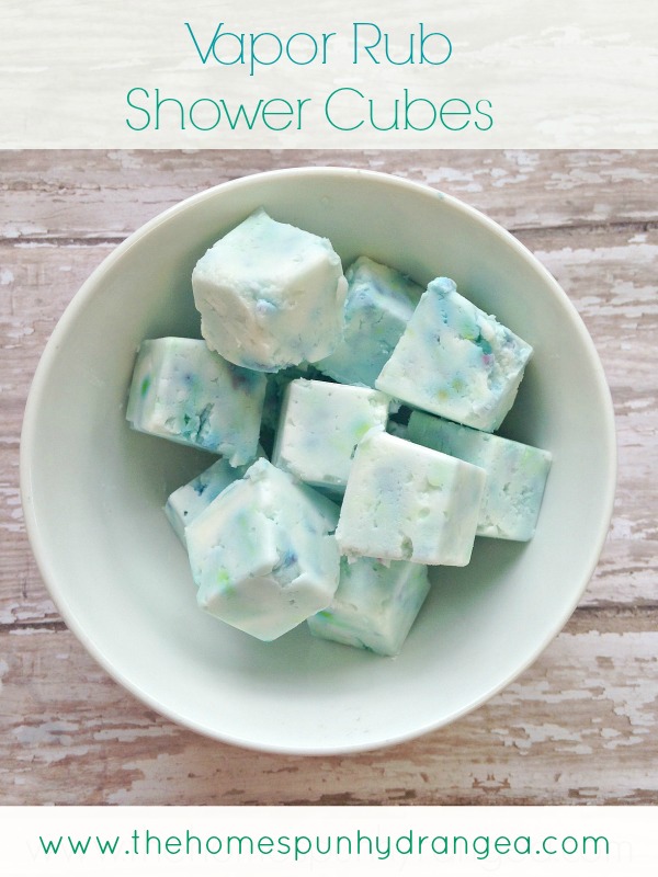 Vapor-Rub-Shower-Cubes1