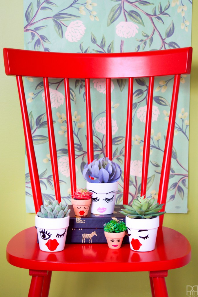 vinyl-face-succulent-planters-15