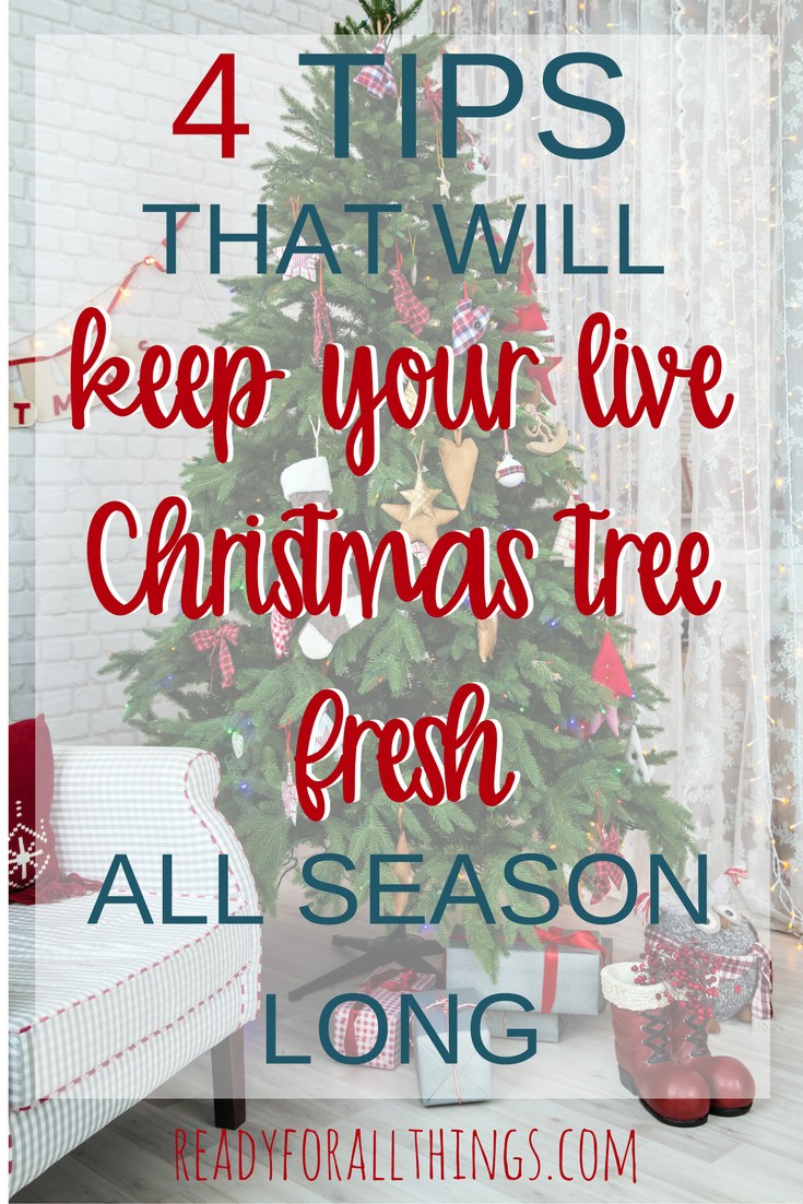 4-tips-christmas-tree.jpg
