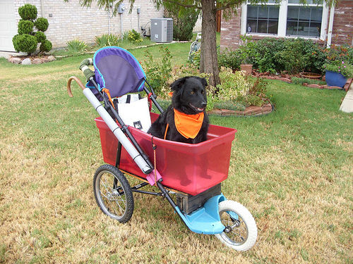 stroller-hacks-7.jpg