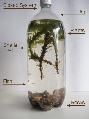 bottle-ecosystem_labeled