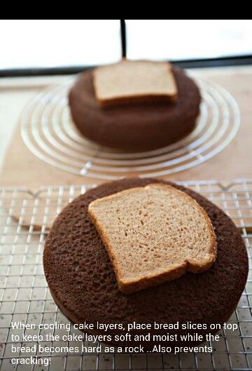 8e1d38924638650022b0575a948529b8