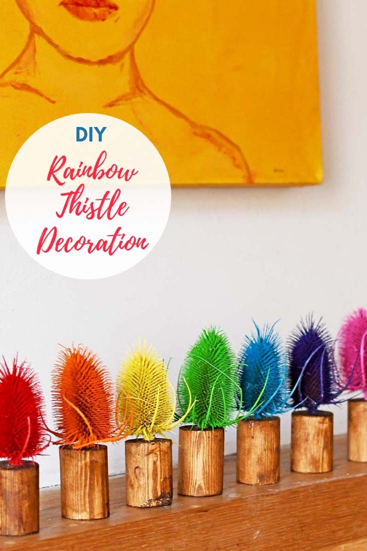 diy-rainbow-dried-thistle-decoration-pin