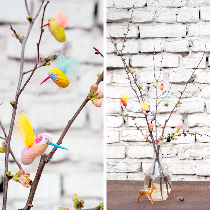 Erdnussvogel_Aufmacherfoto_7