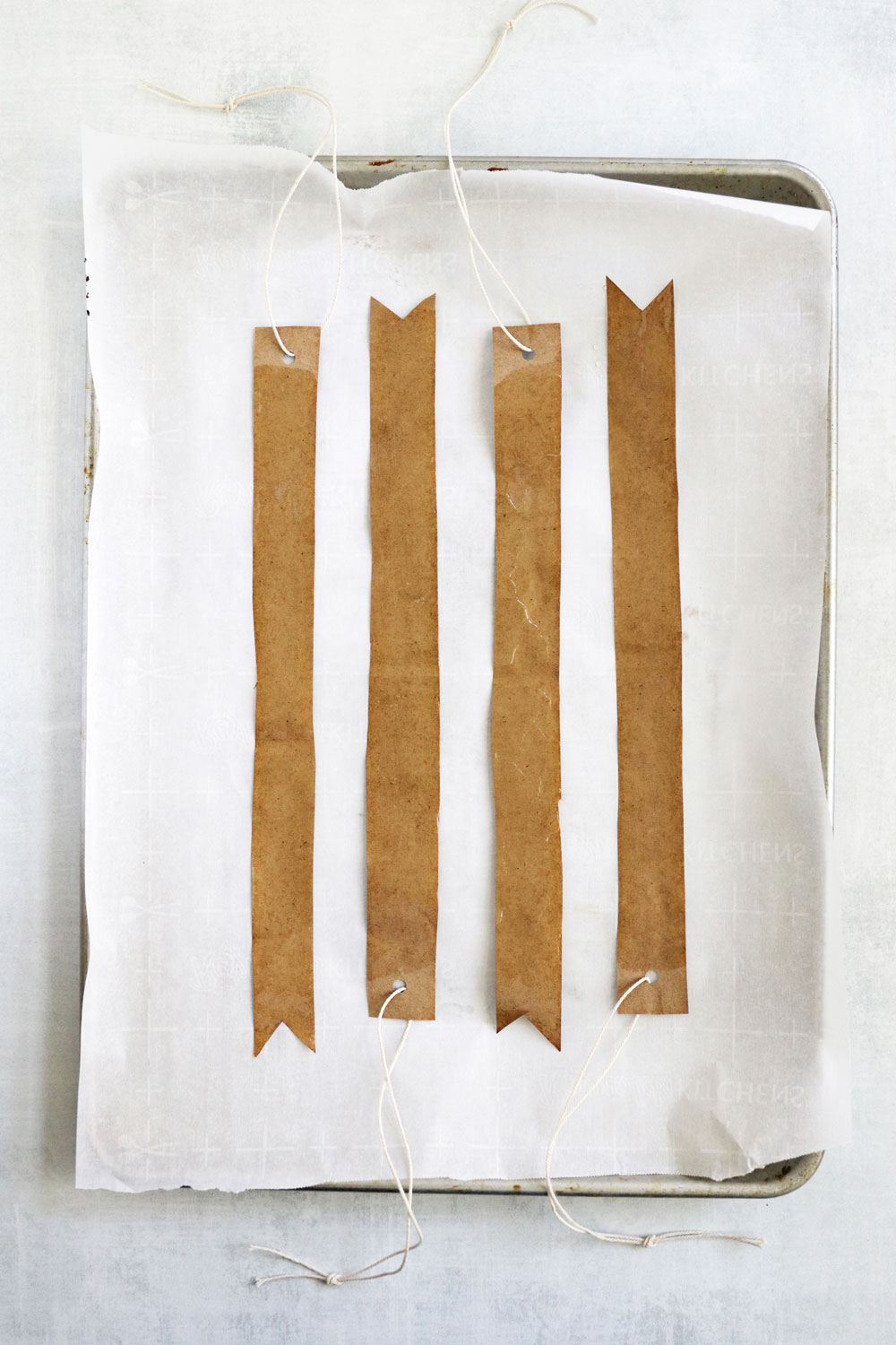 DIY Fly Paper – Do It And How