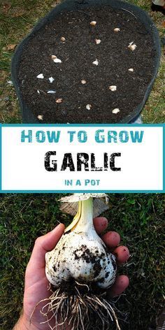 3444a45e56ce4bdf4e18d705405a0a3c